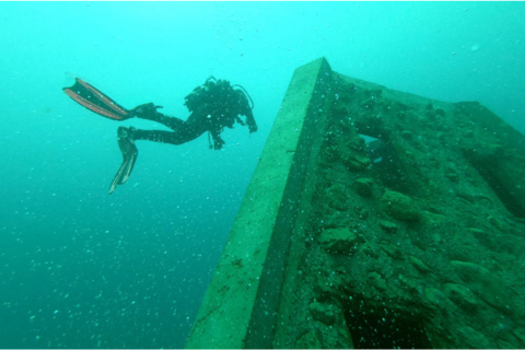 Scuba Diving and Reef